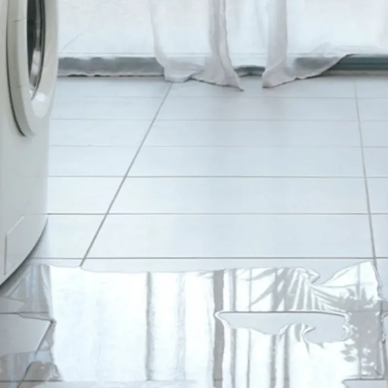 Appliance Leak Cleanup in West Baton Rouge Parish, LA