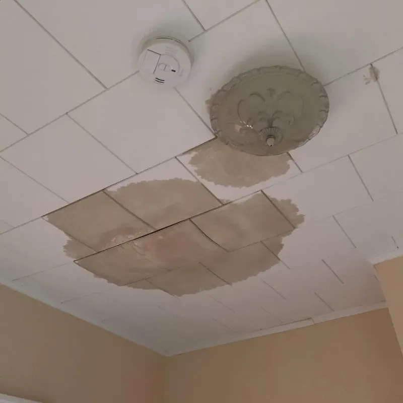 Ceiling Water Damage Repair in West Baton Rouge Parish, LA