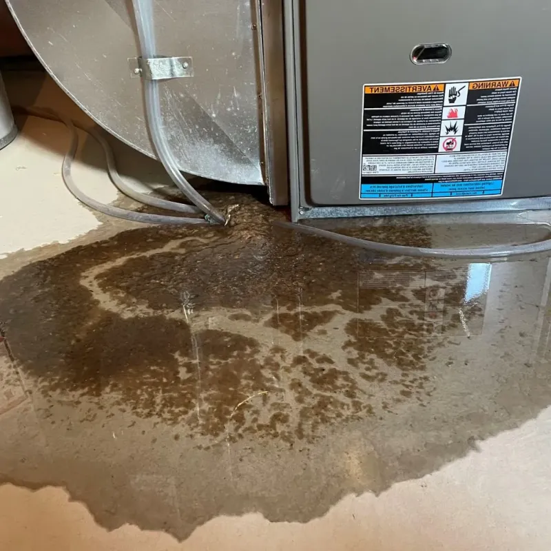 Pipe Burst and Leak Restoration in West Baton Rouge Parish, LA